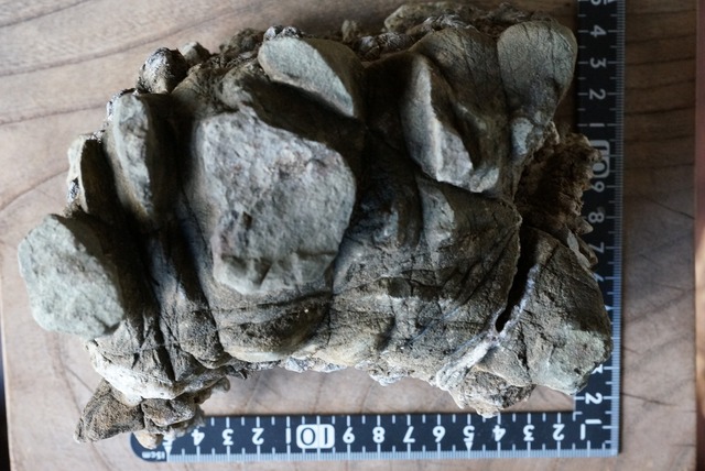 ポンピラ石　誉平石　亀甲石　水石