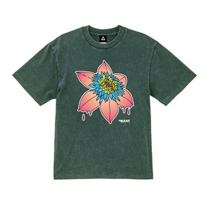WANT clematis TEE [フェードグリーン]