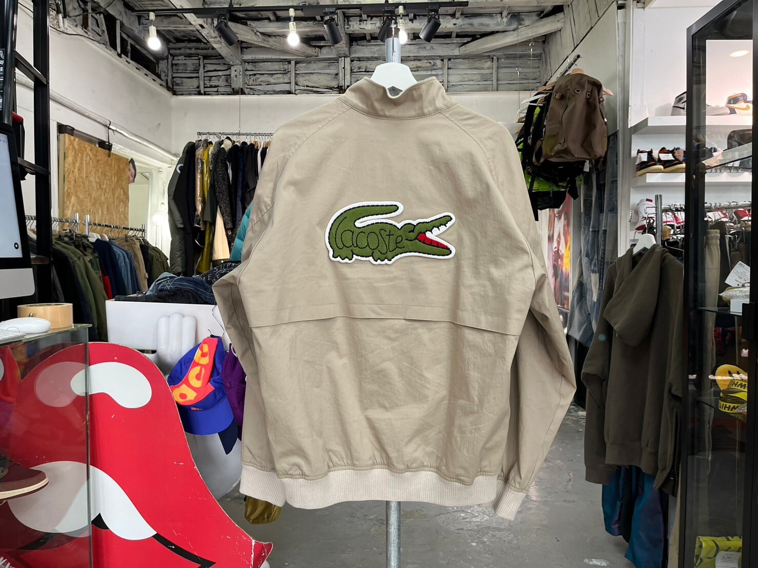 LACOSTE × BEAMS HARRINGTON JACKET BEIGE LARGE 92787 | BRAND BUYERS 