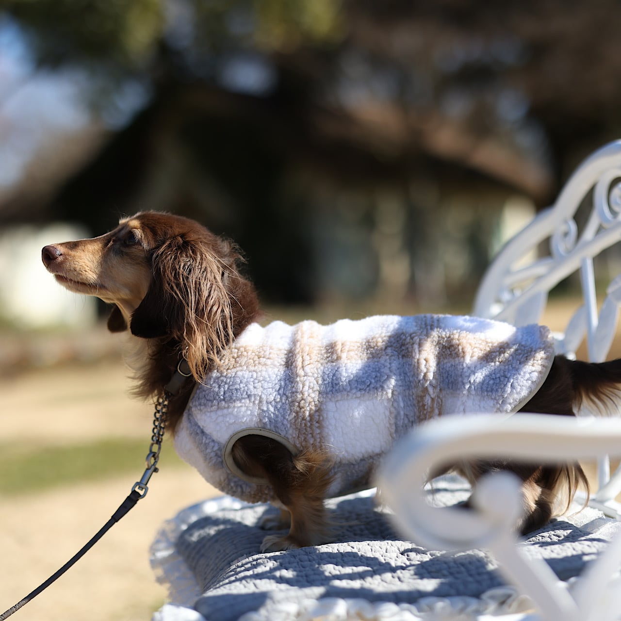 ベアウォーム ボアベスト | カニンヘンダックスとミニチュア