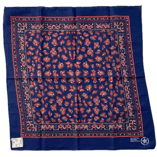 【Deadstock】80~90s RN13960 ペーズリー ヴィンテージバンダナ　②