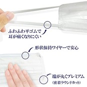 [医食同源ドットコム] iSDG 不織布マスクPREMIUM 50枚入り (個包装) (ふつう)