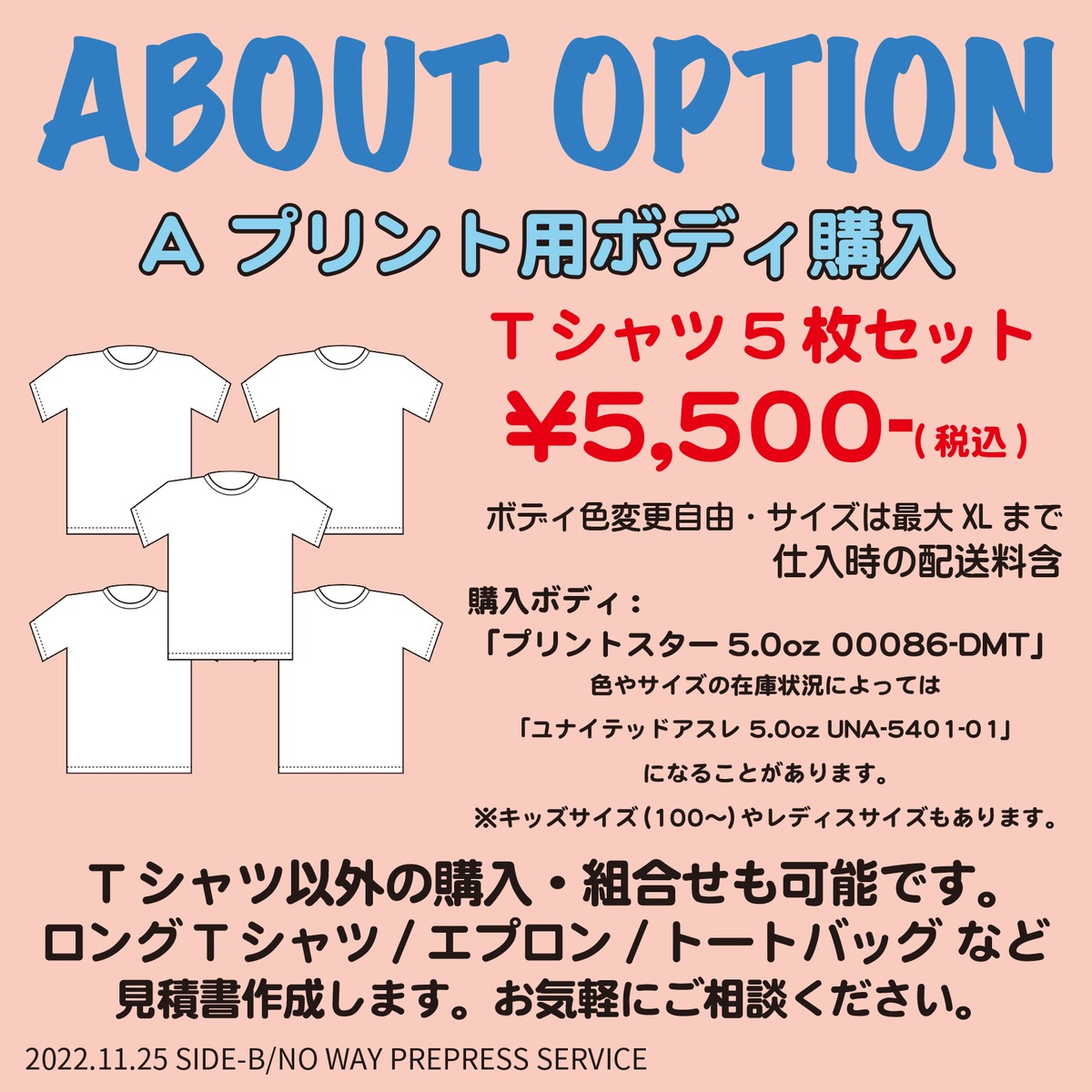 オプションA プリント用ボディ Tシャツ5枚セット[製版サービス] | 【NO 