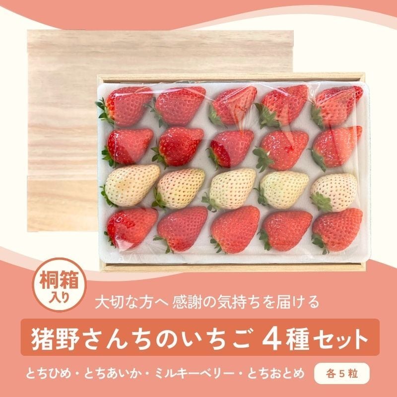 いちご | 猪野さんちのいちご農園｜産直通販「あるよ」応援プロジェクト