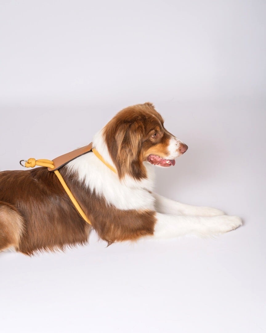 韓国ブランド HOZI ネイビー ハーネスとリードセット 韓国ブランド