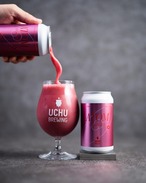 うちゅうビール　【ATOM RASPBERRY】TROPICAL SMOOTHIE SOUR　350ml