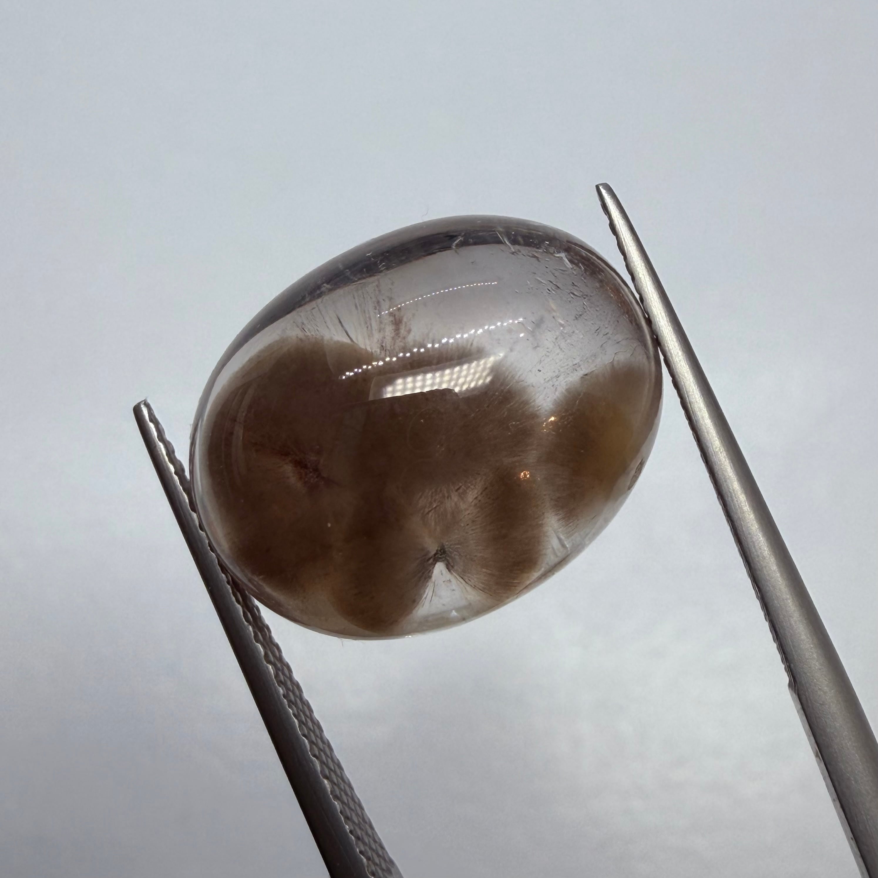 モフモフなポンポンクオーツ