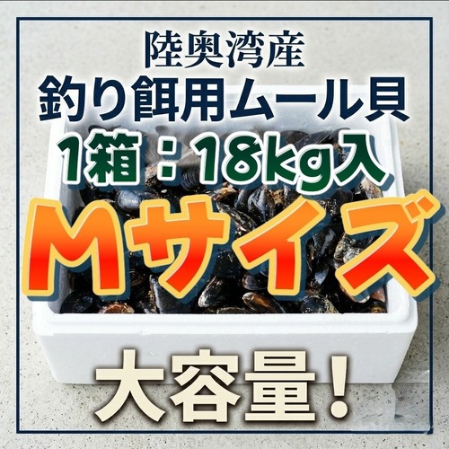■1箱：18kg入り【釣り餌用 ムール貝】Mサイズ