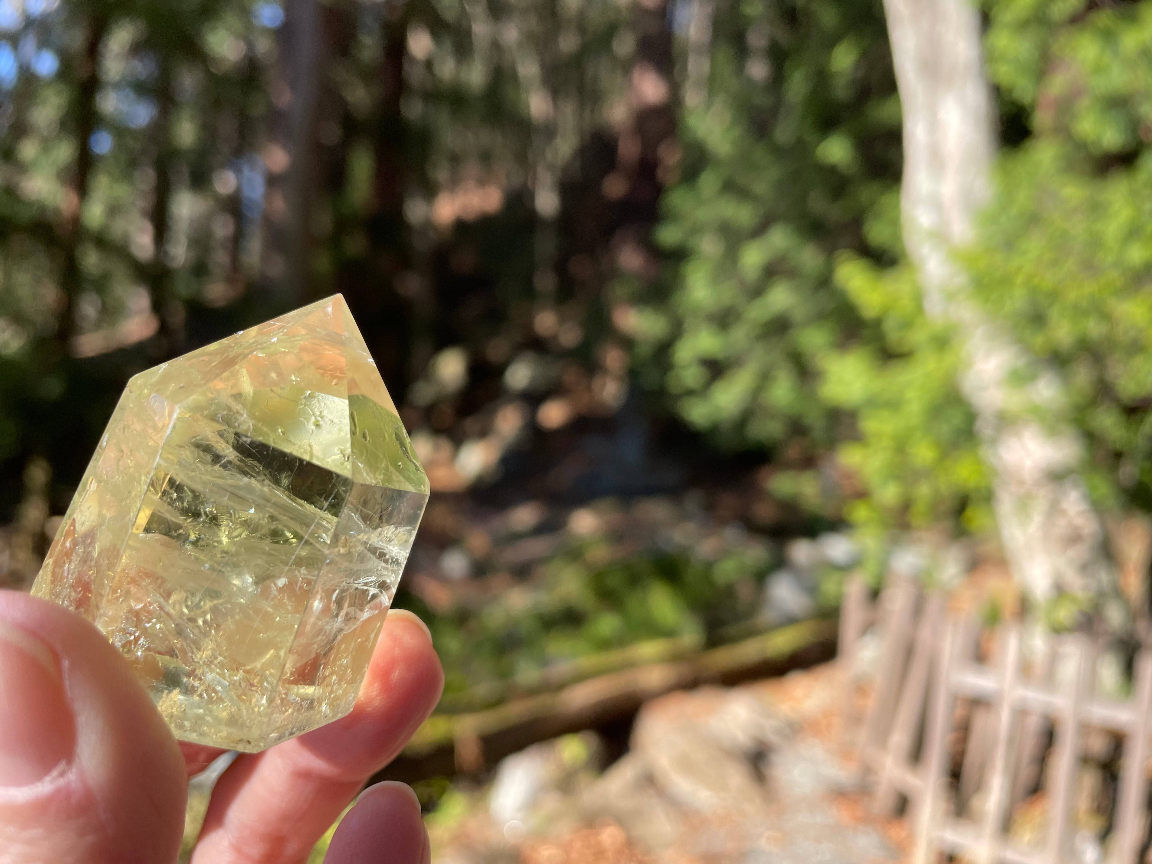 シトリンポイント ③ | magmastone