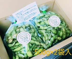 特産【丹波黒枝豆】さや1kg【10月中旬～発送】