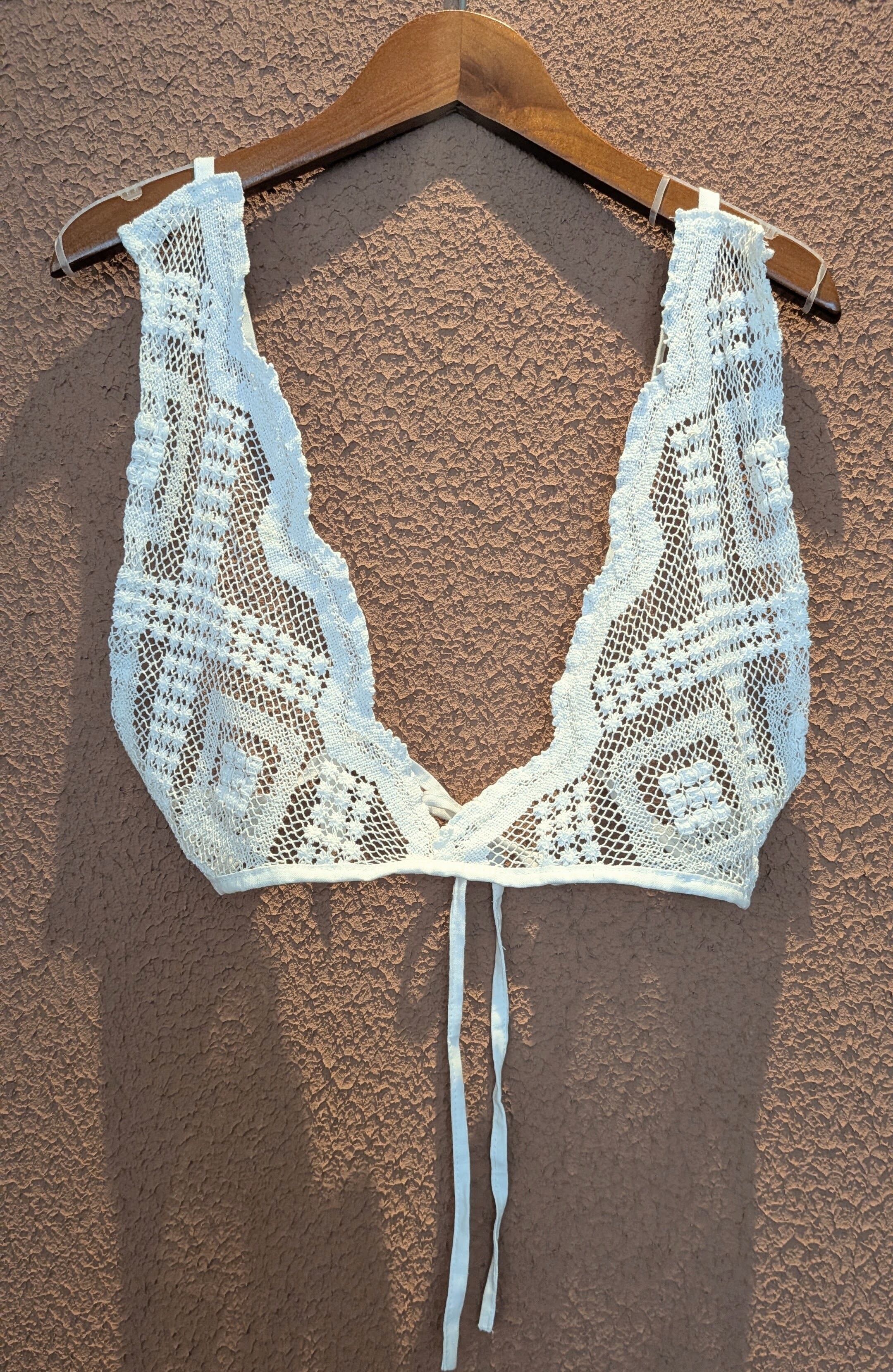alocasia vintage