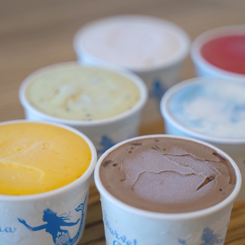 ミルク系&ソルベ系 おまかせセット(12個)