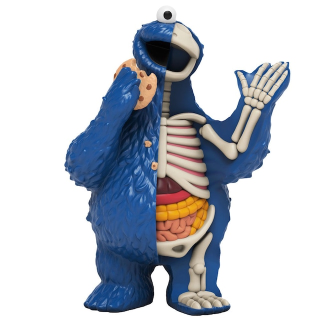 XXRAY Plus  Sesame Street Anatomical Cookie Monster by Jason Freeny