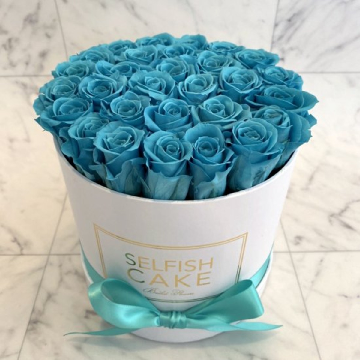 4459575c8cac580911c412cbcbf88b  