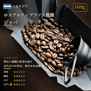 【店頭受取:160g】ニカラグア ロスアルティプラノス農園 ジャバ
