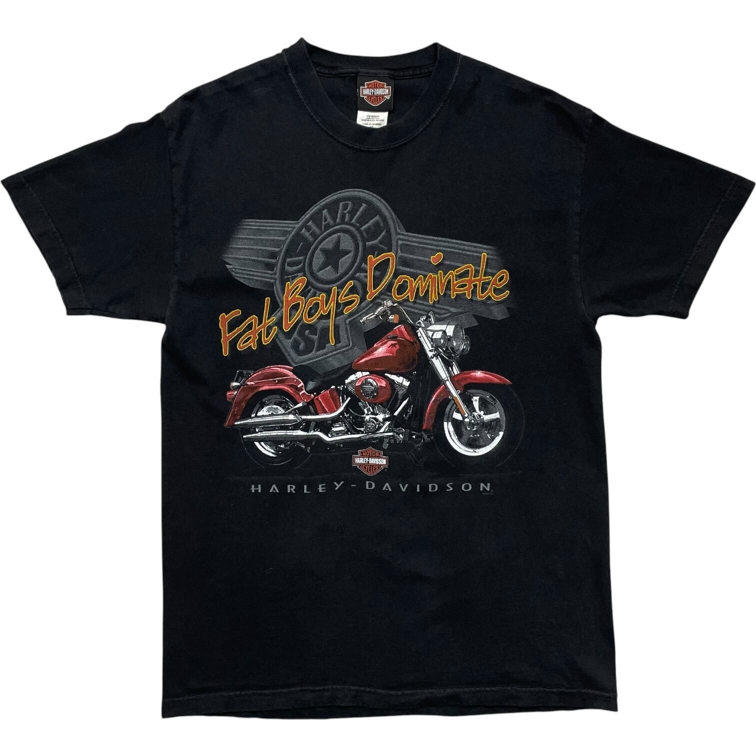 《M》Harley-Davidson ハーレーダビッドソン Tシャツ フロントバイクプリント バックプリント ブラック USA製 no.10111