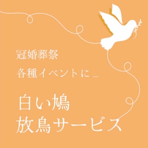 白い鳩 放鳥サービス 【葬儀・追悼】1セット(7羽)