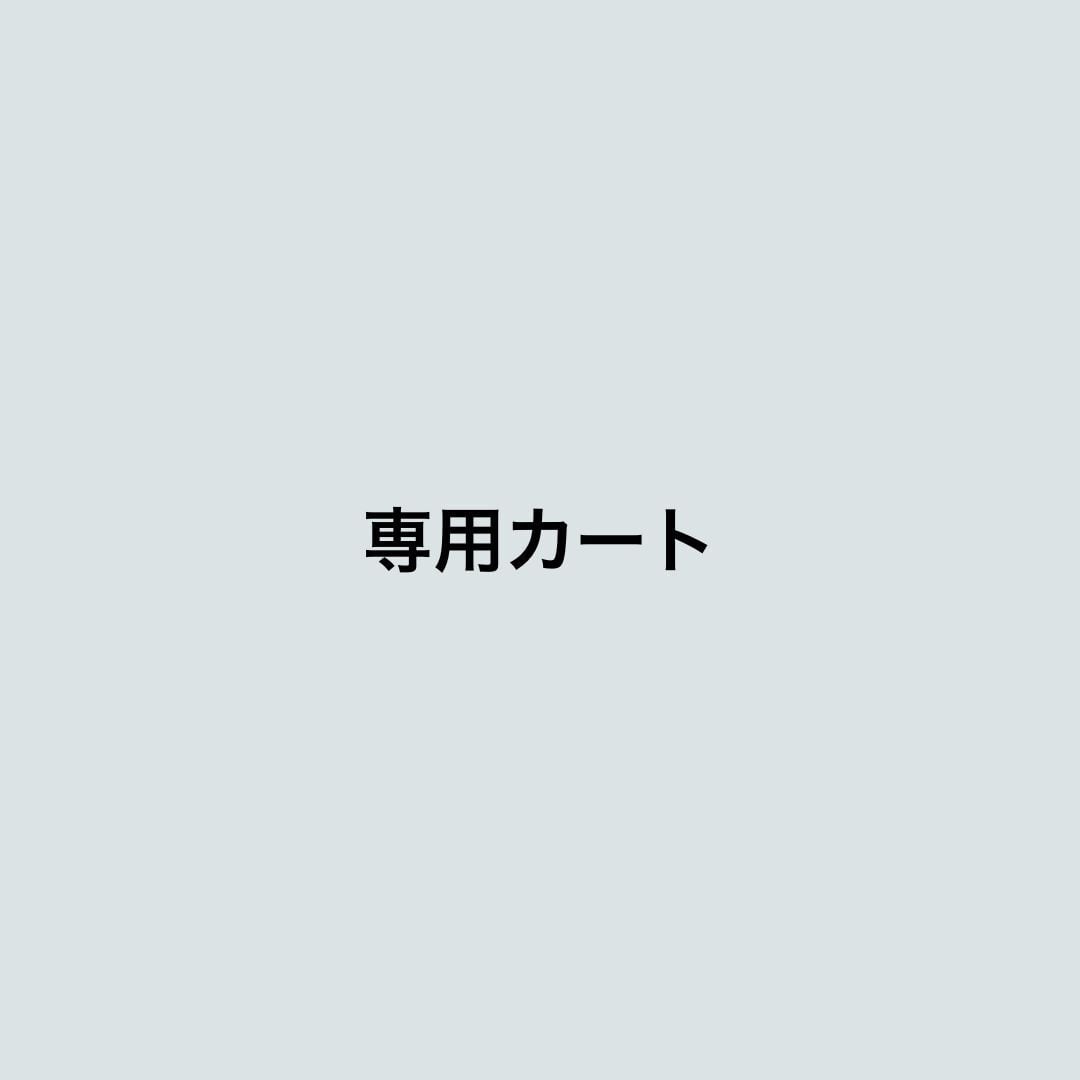 専用カート(2)