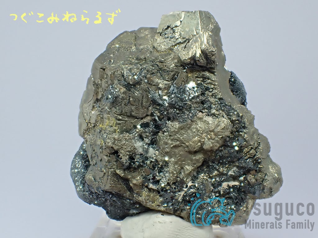 パイライト 黄鉄鉱 Pyrite イタリア TM-0042