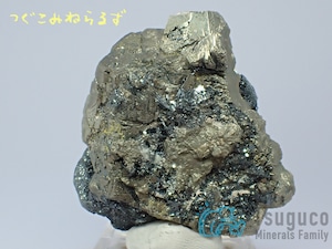 パイライト 黄鉄鉱 Pyrite イタリア TM-0042