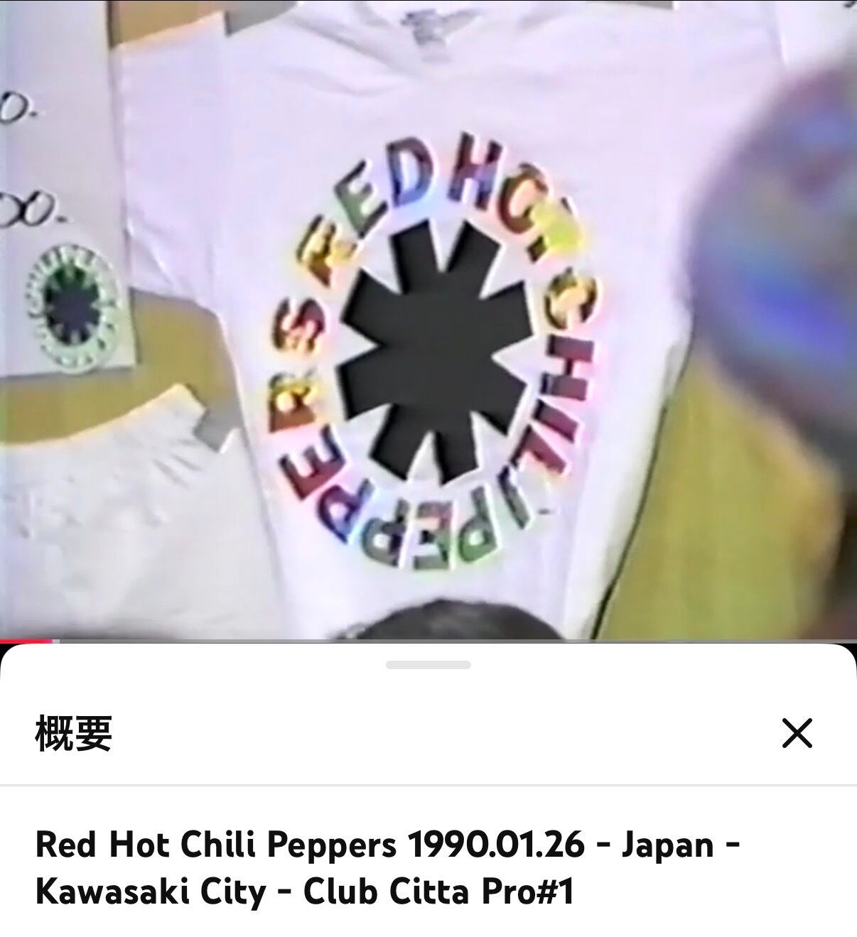80s Red Hot Chili Peppers ©️ZEBRA 89 vintage T-shirt | Shikisen