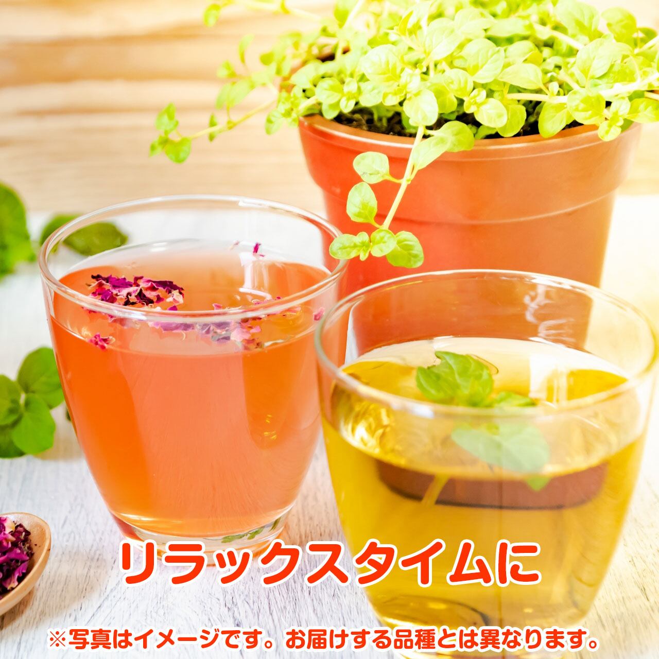 ハーブ 苗 10個 お試しセット | ハーブ苗のポタジェガーデン 本店