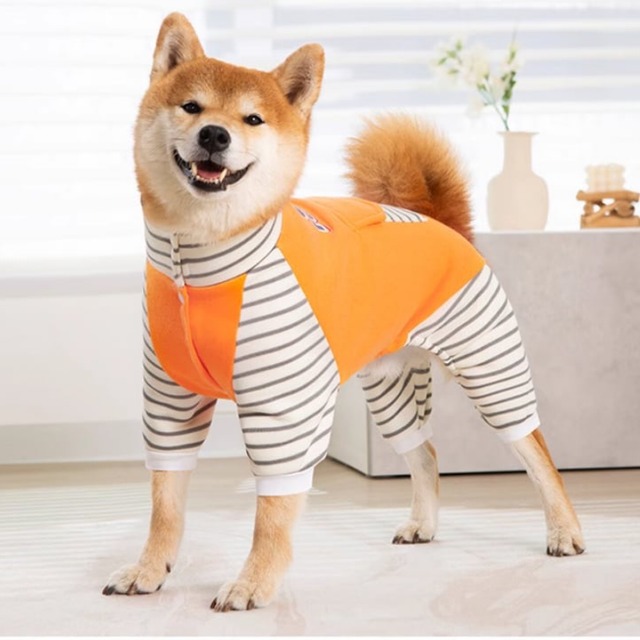 ＜3色展開＞大型犬着用可能！バックロゴカラーロンパース0467