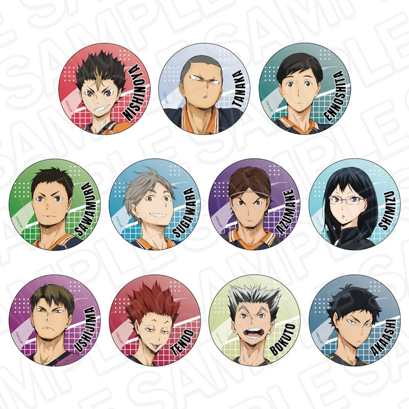 アニメ「ハイキュー!!」 ミニキャラ缶バッジコレクション【のぼりver