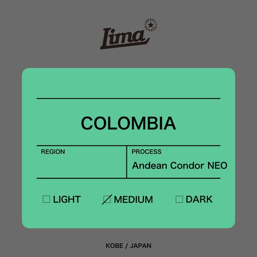 【COLOMBIA】Andean Condor NEO