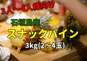 【送料無料】石垣島のスナックパイン3kgセット(2〜4玉)