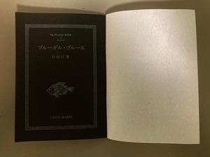 ブルーギル・ブルースと火のない場所に立つけむり（セット）