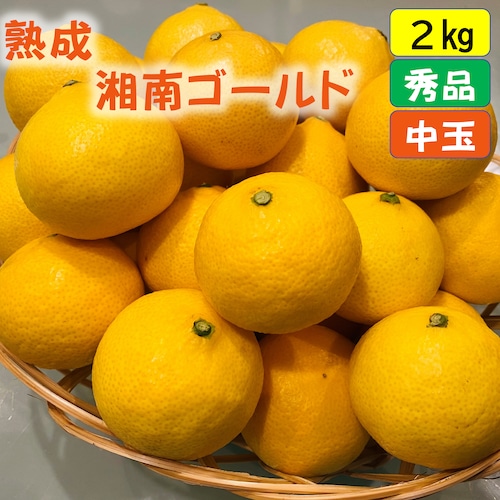 送料無料　熟成・湘南ゴールド（L・Mサイズ）２ｋｇ