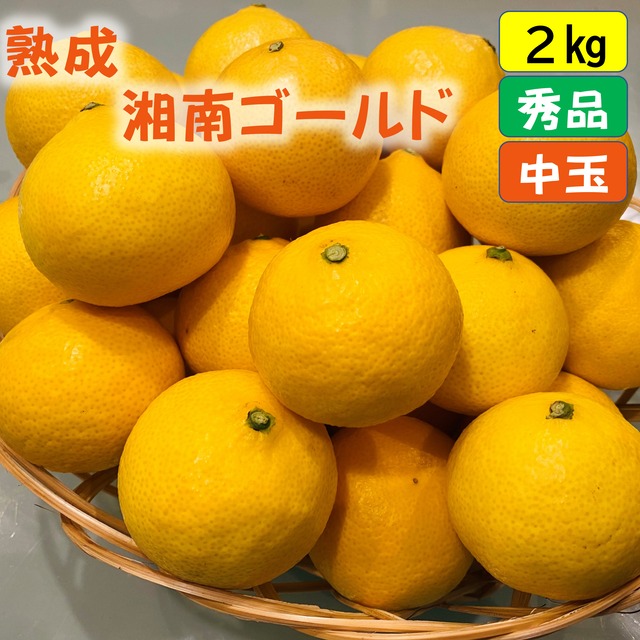 送料無料　熟ウマ☆小玉・湘南ゴールド（Sサイズ）２ｋｇ