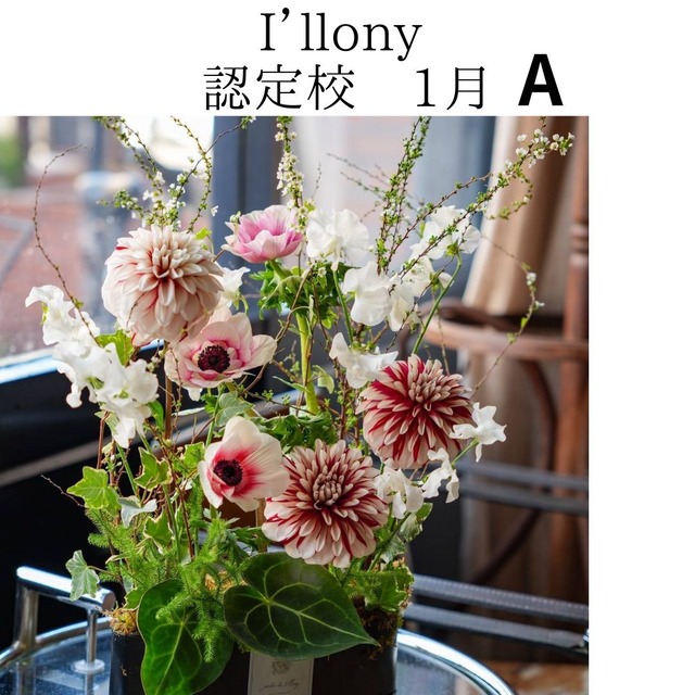 I’llony認定校専用　１月花材　ヒゲカズラ　デザインA