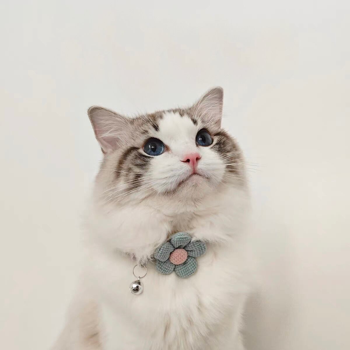 Flowerポイント首輪 猫 チョーカー 花 | nyanpets 猫グッズ専門店