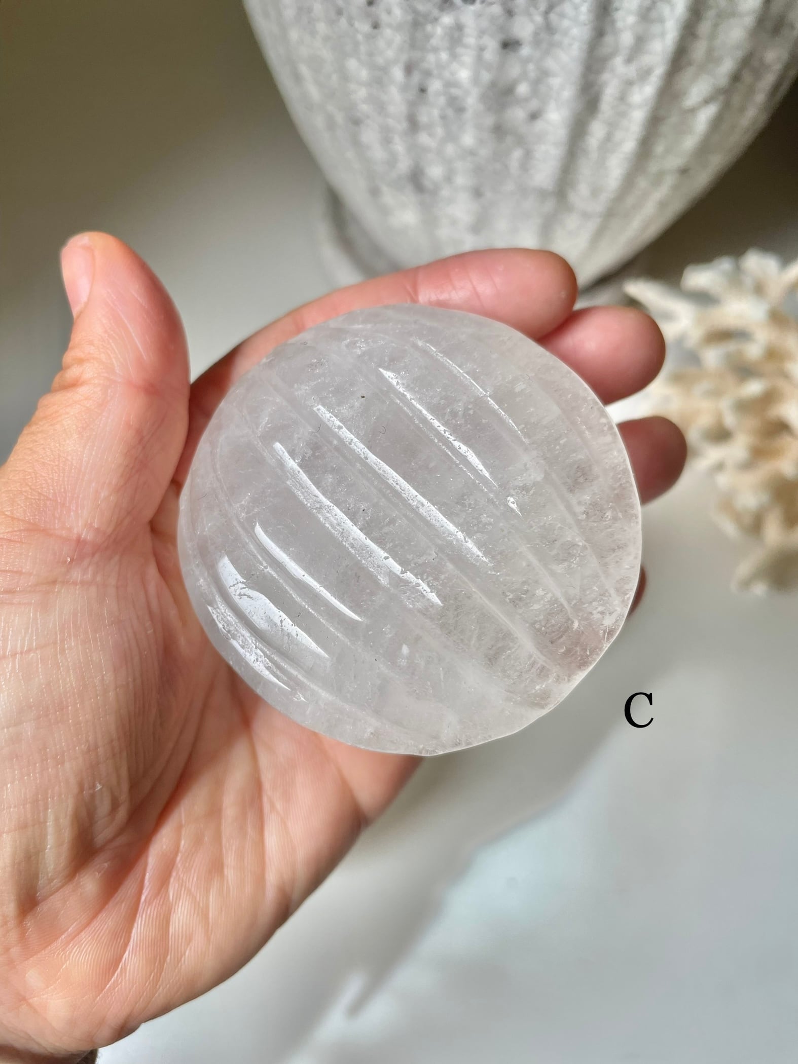 Crystal Shell / 水晶 貝 | AINA MINERALS
