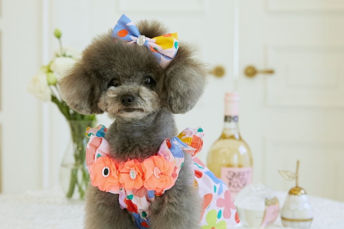 Aloha dress ピンク