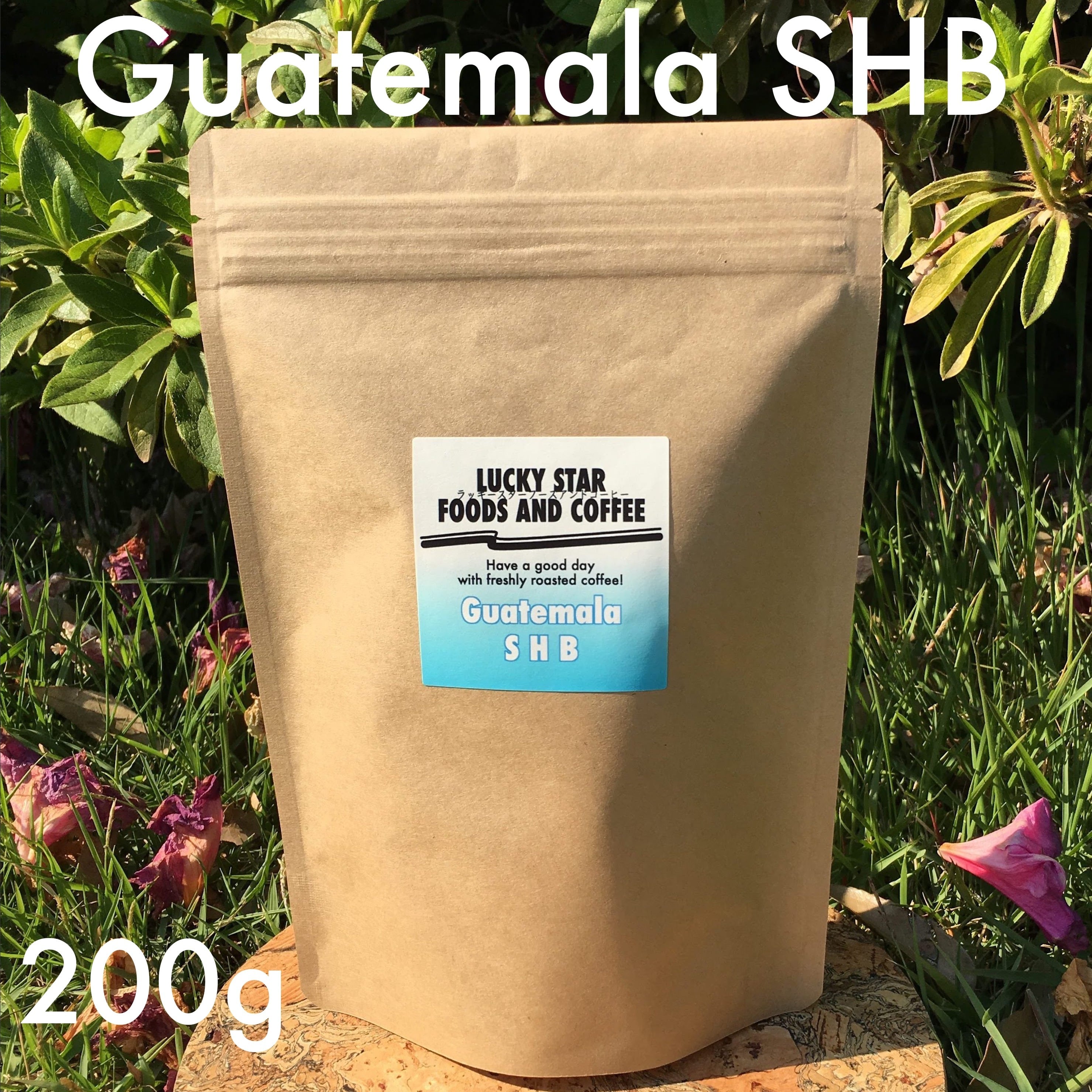 コーヒー粉orコーヒー豆200g　グアテマラSHB