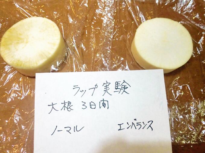 バランスラップ30✖️20