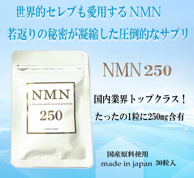 サプリ　NMN 250mg