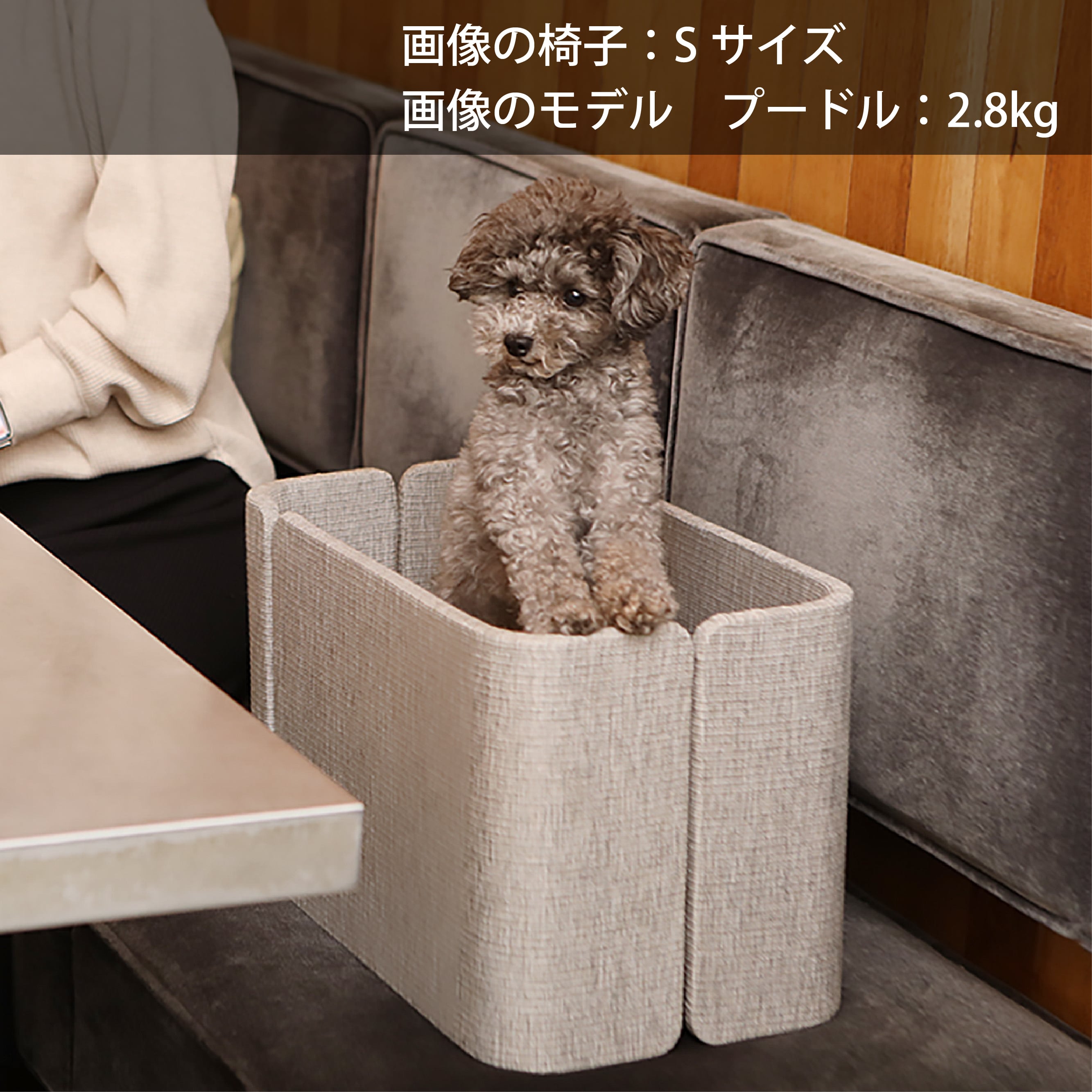 f&f 愛犬用ダイニングチェアー Sサイズ | Pet Salone
