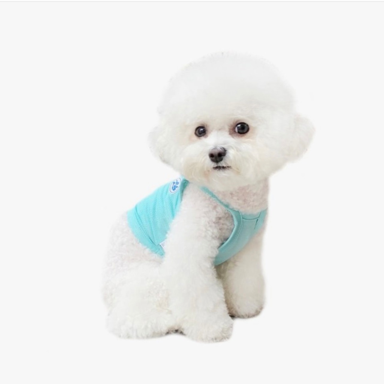 即納【THEREST OF LIFE】COOL WATER CROP (SKY/Sサイズ)