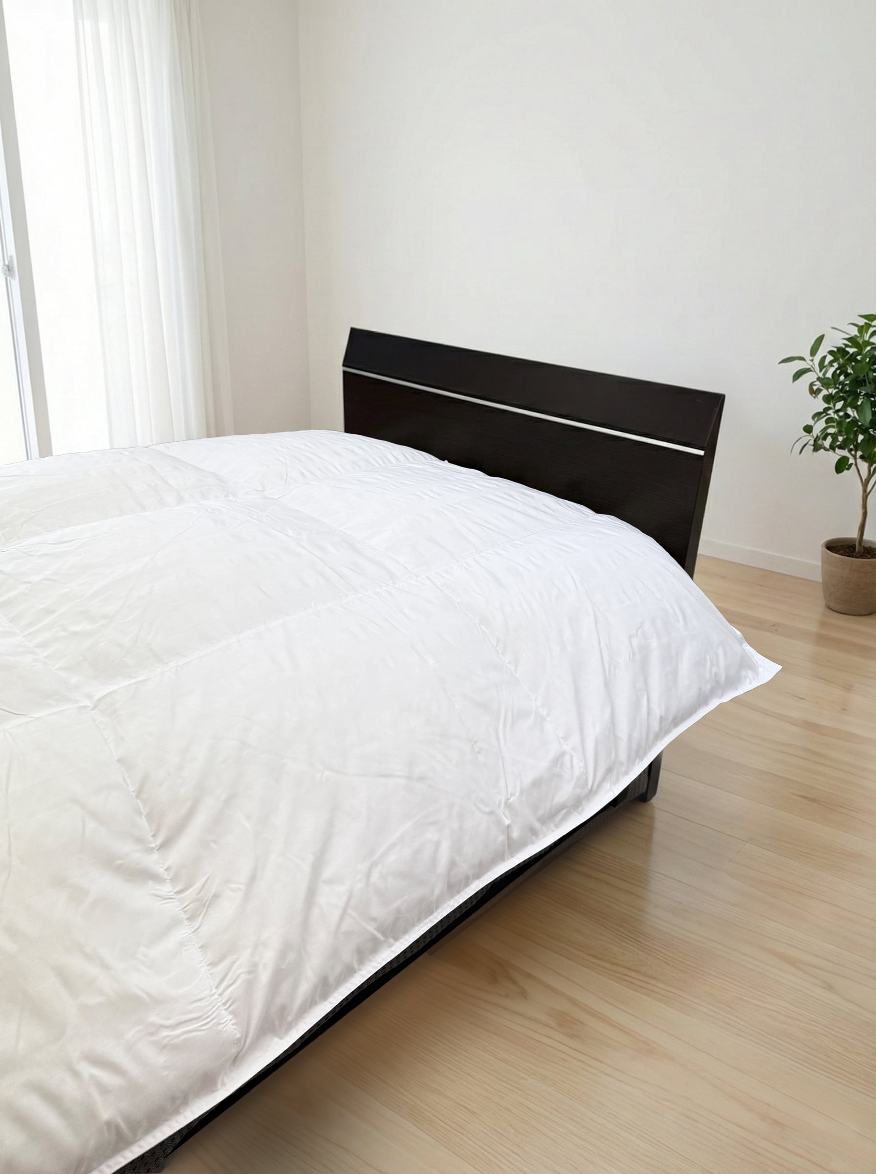 ホスタ【シングル】【ホワイト】【ベージュ】【DP330】