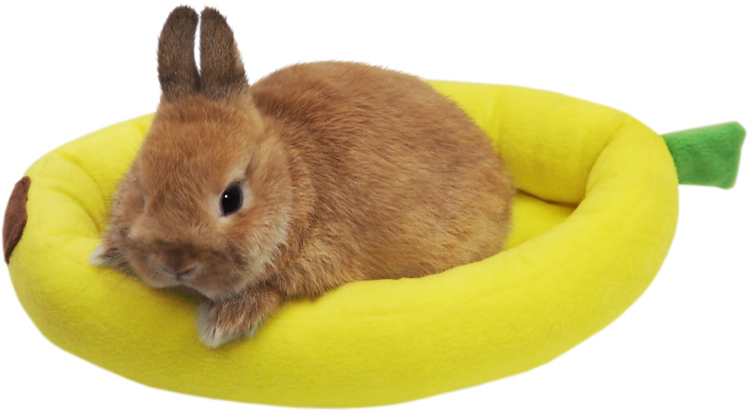 【小動物用品】フルーツベッド バナナ/パパイヤ