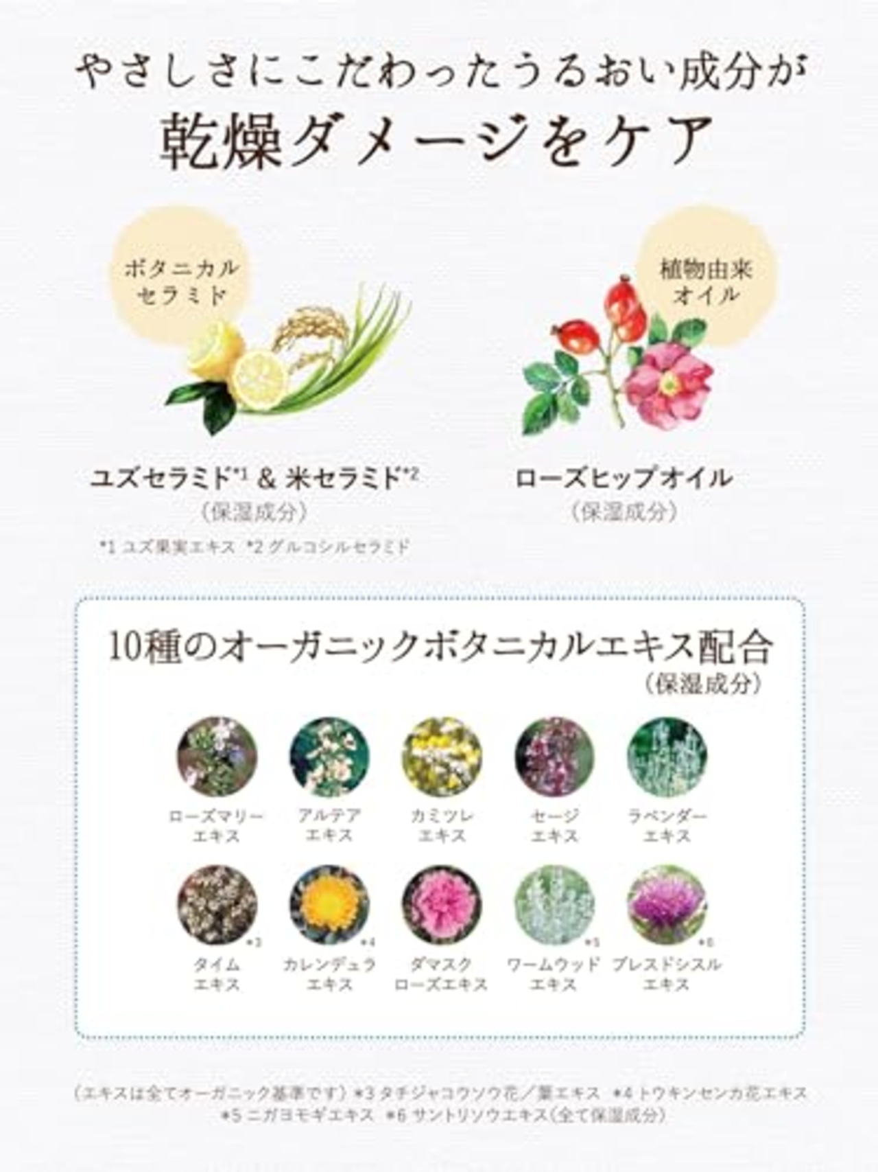 Diane BOTANICAL(ダイアン ボタニカル) ボディミルク [シトラス&ホワイトブーケの香り] 大容量 500ml【ミルクなのにベタつかない】ダイアンボタニカル リキッド 本体500 ml