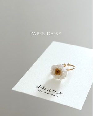 real flower ring「paper daisy 」【1点限定】