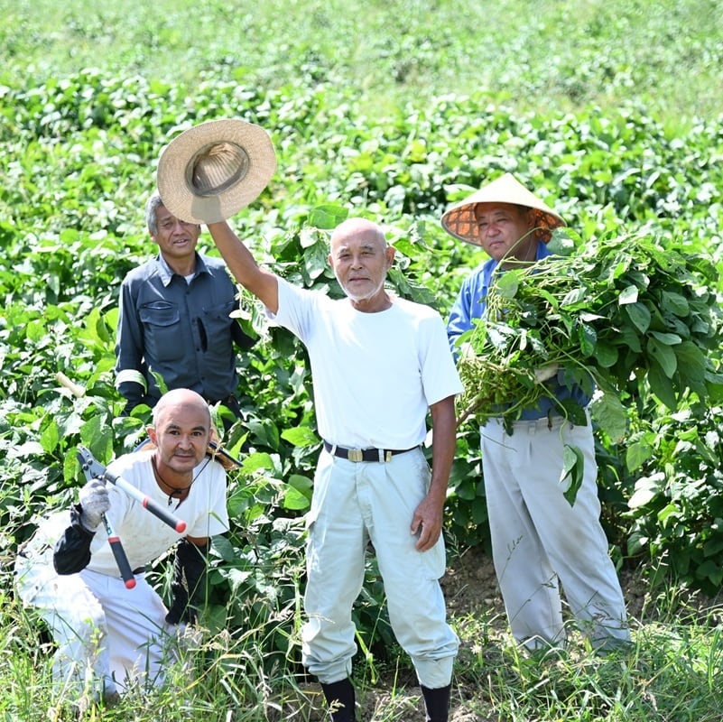 KK012N 瑞穂大納言小豆 1kg Lサイズ 栽培地域限定 希少 令和7年度産