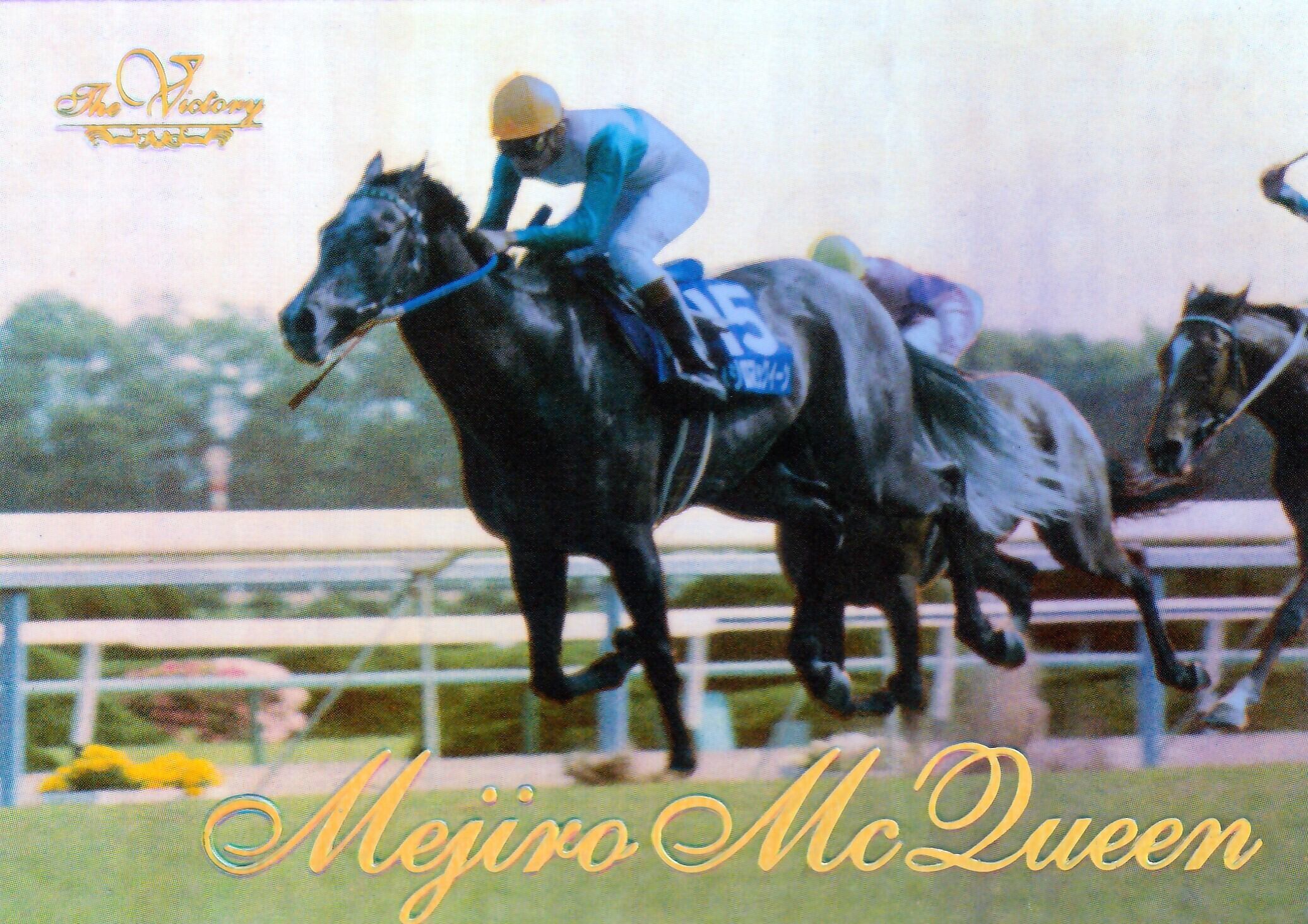 The Victory 1999 オグリキャップ オグリキャップ(金文字ノーマル)「The Victory 1999」No.3 | カード