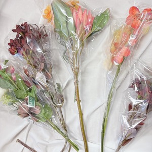 スミップ（すみっぷ）様