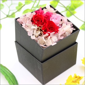 Flower Box（レッド）